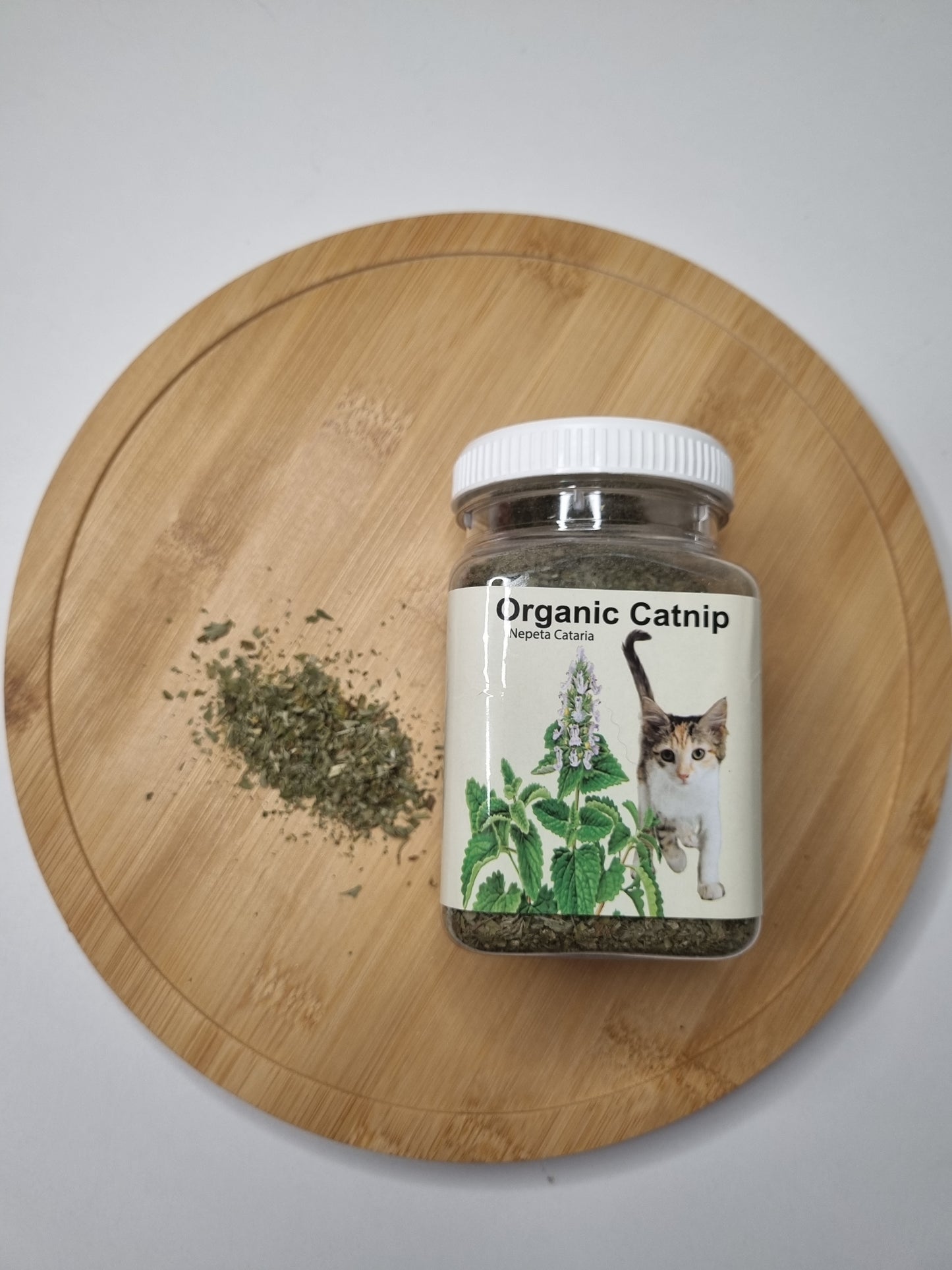 Catnip