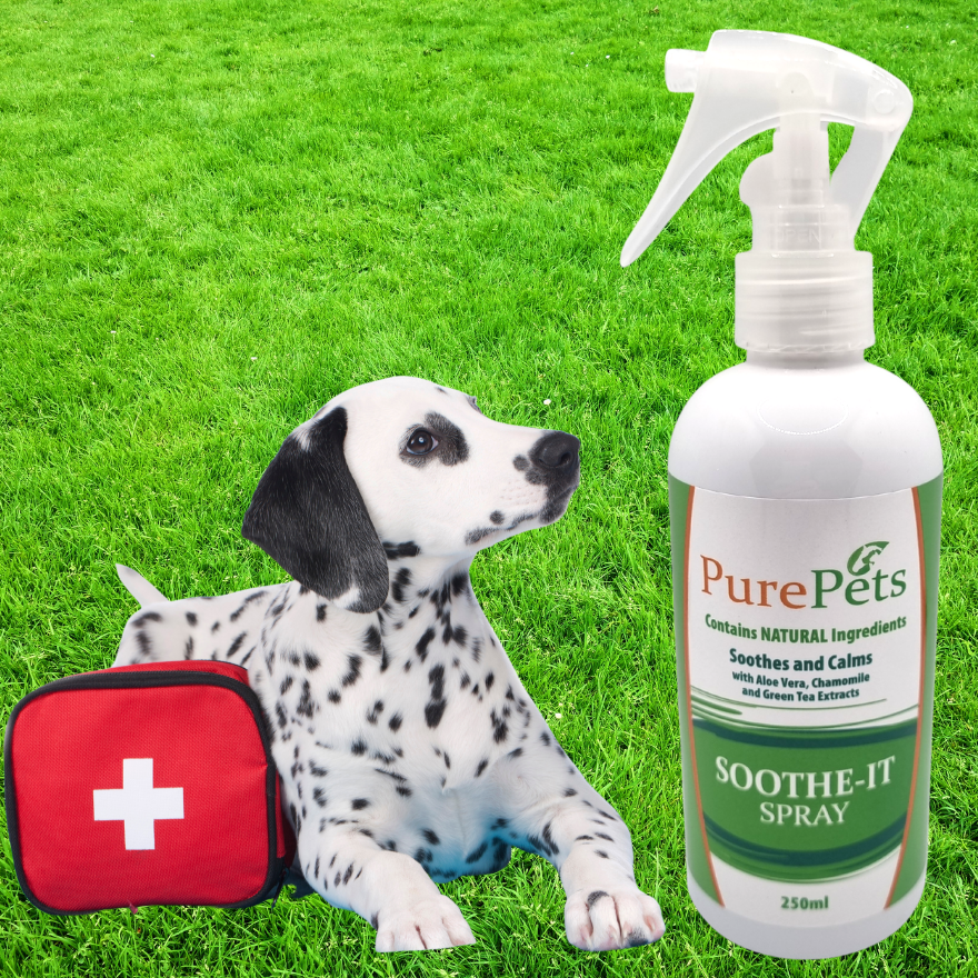 Sooth-It Spray